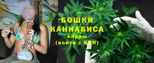 гидра Армянск