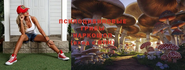 гидра Армянск