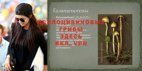 MDMA Premium VHQ Арсеньев