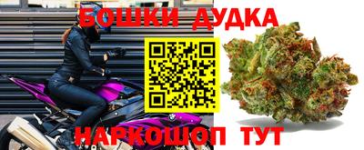 шишки Татарск